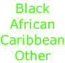 Black African Caribbean Other